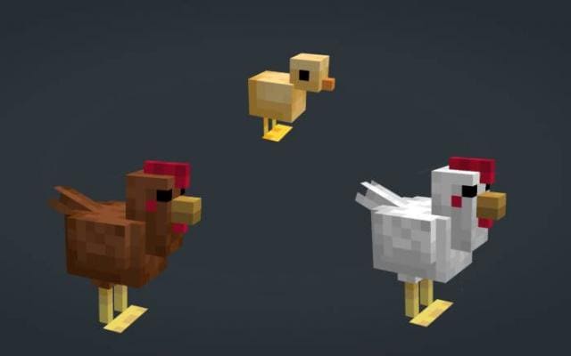 Курицы и цыпленок