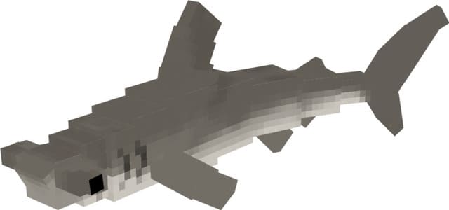 Большая акула-молот