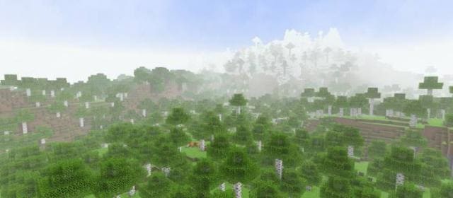 Туман над березовым лесом