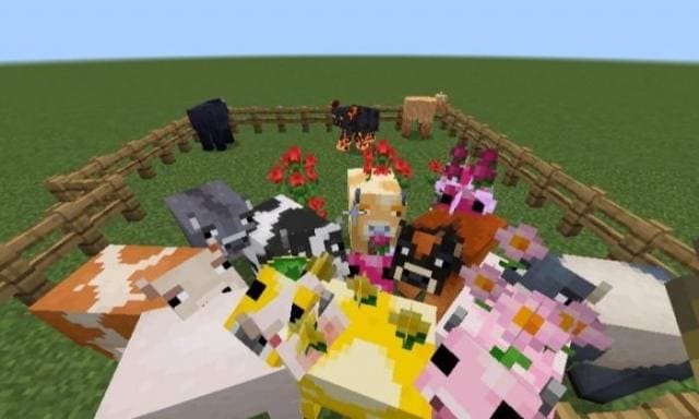Разноцветные Коровы