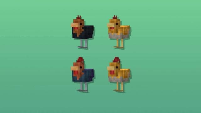 Курица в разных цветах