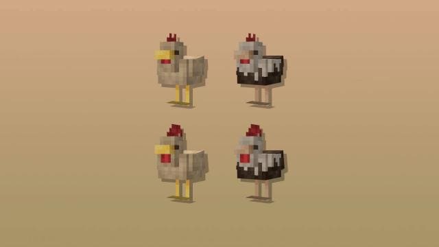 4 Курицы
