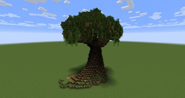 Огромное дерево вид спереди