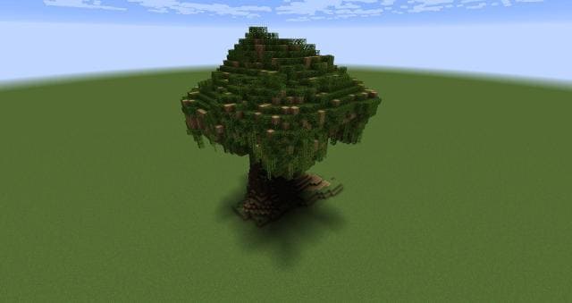 Огромное дерево вид сверху