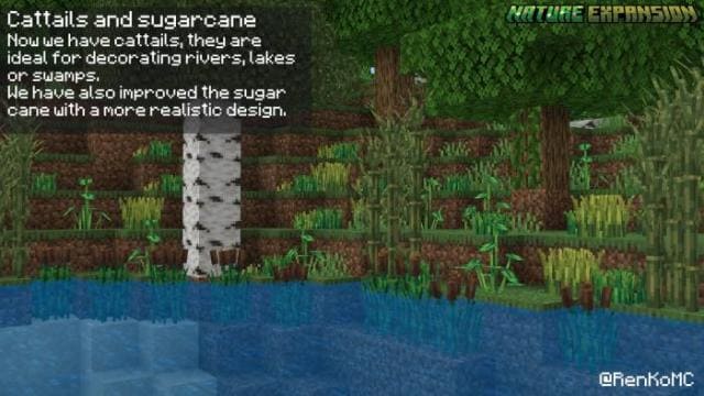 Камыш и сахарный тростник