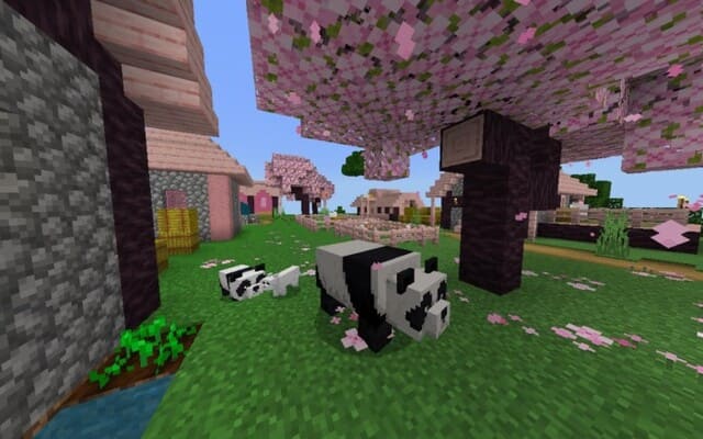 Панда в деревне
