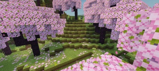 Ярко-розовый лес