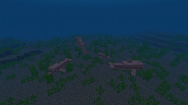 Дельфины в воде