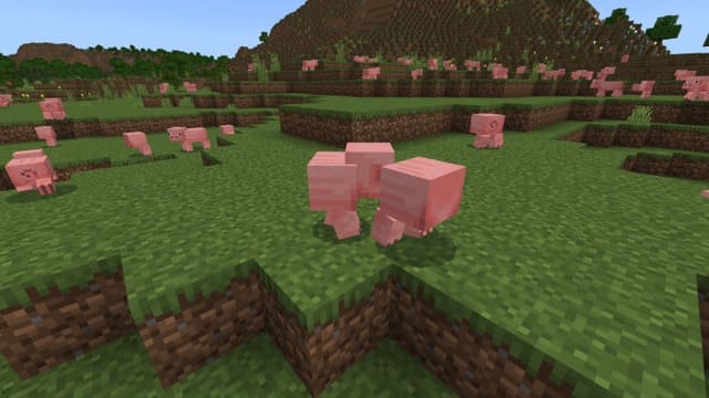 Множество Свинок на поле