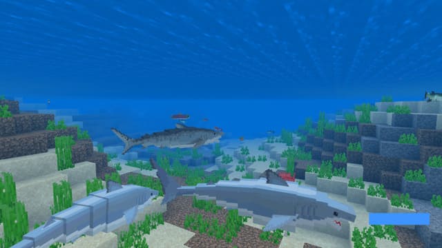 Акула в океане