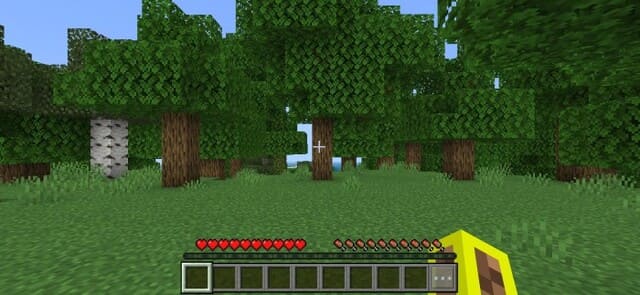 Игрок смотрит на лес