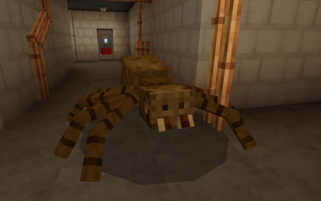Огромный паук