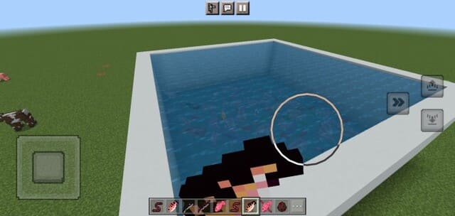Игрок запускает рыб в водоем