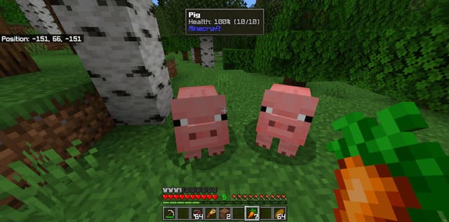 Две свиньи