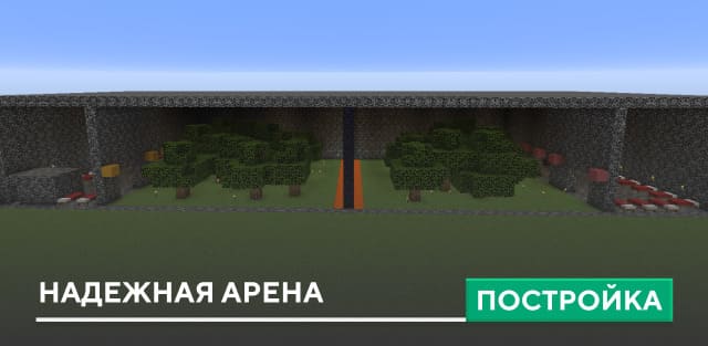 Постройка: Надежная арена