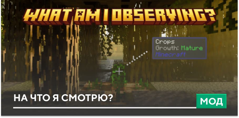 Мод: На что я смотрю?