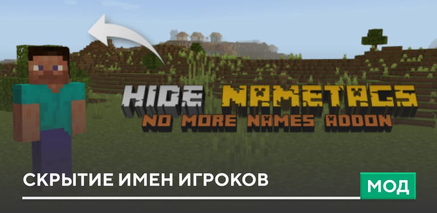 Мод: Скрытие имен игроков