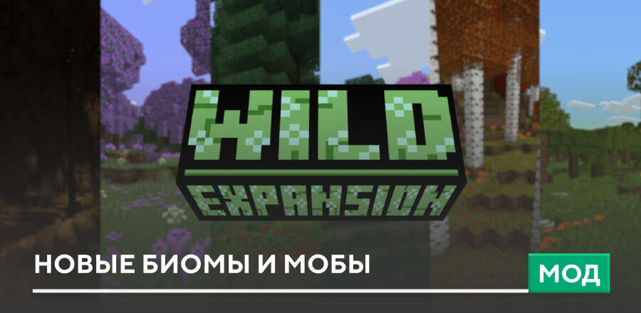 Мод: Новые биомы и мобы