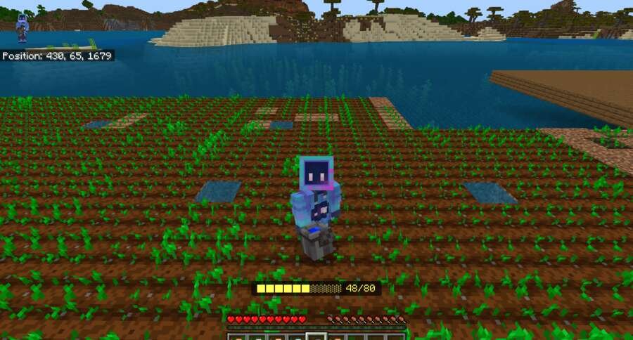 Полив Растений