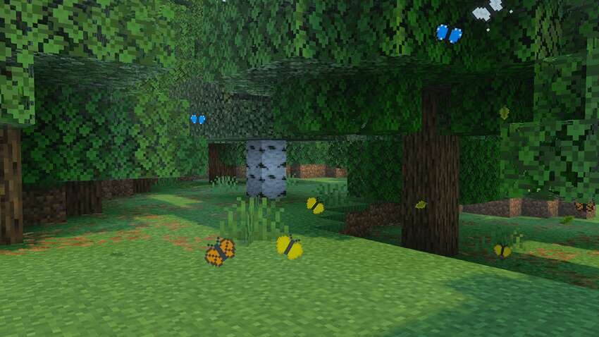 Бабочки в лесу