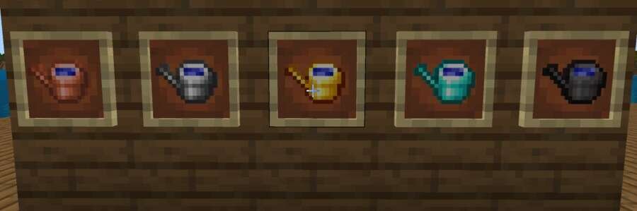 5 видов Леек