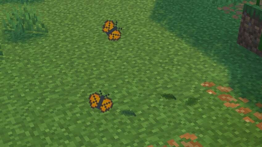 Две Бабочки над травой