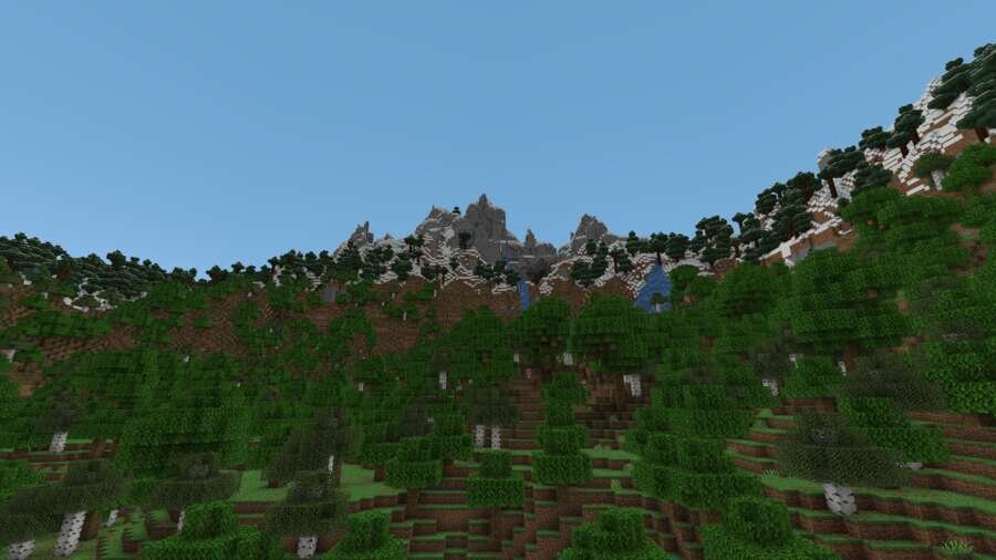 Вид на лес у снежных гор