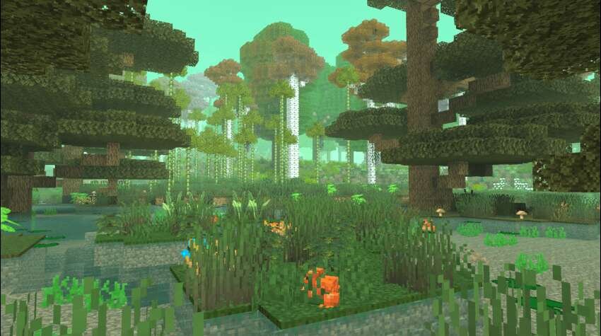 Красивый лесной биом