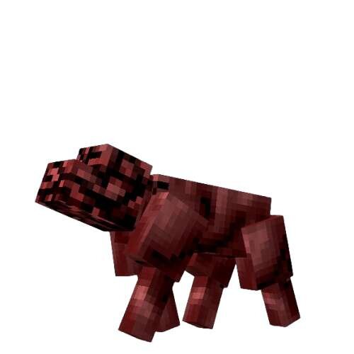 Голова червя