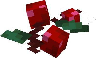 Ягода вишни