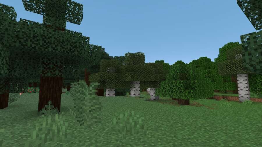 Что есть в лесу на острове