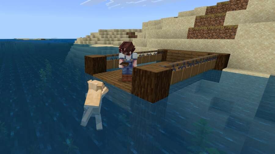 Собака плавает в воде