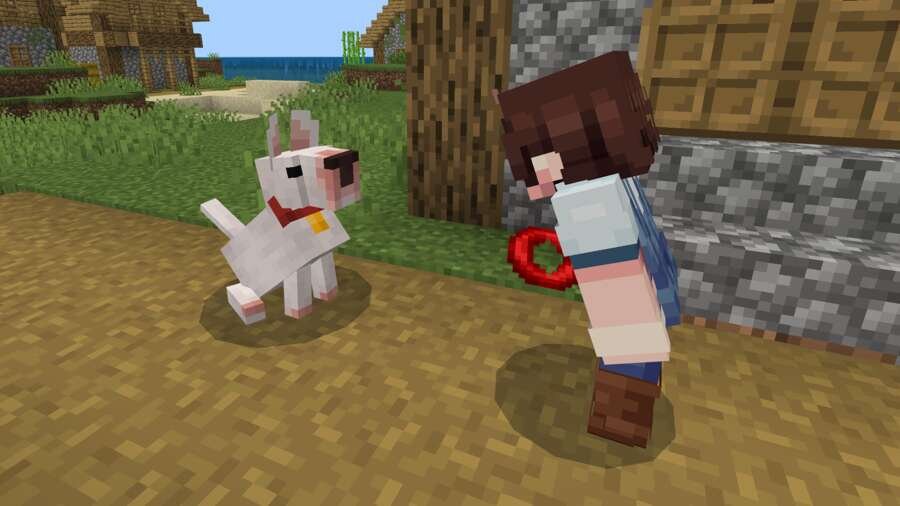 Игрок играет с собакой