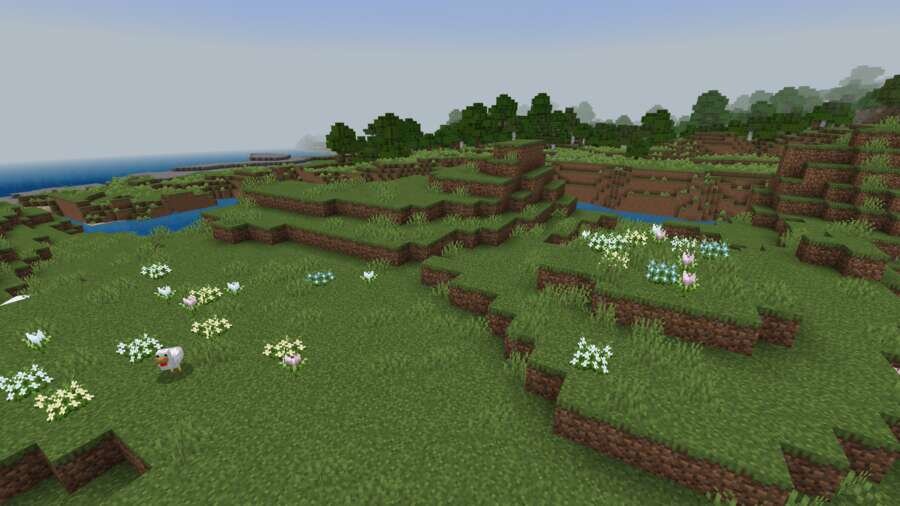 Поле цветов