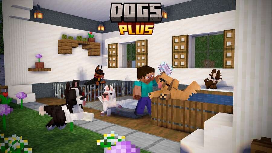 Превью дополнения