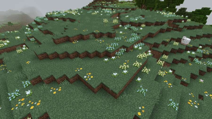 Цветы на равнине