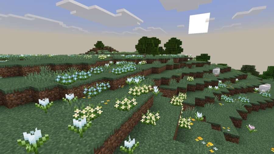 Цветочное поле