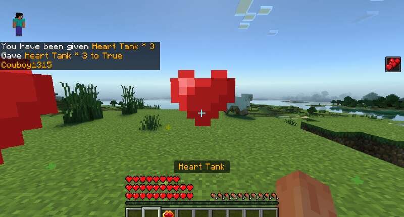 Хранилище сердца в игре