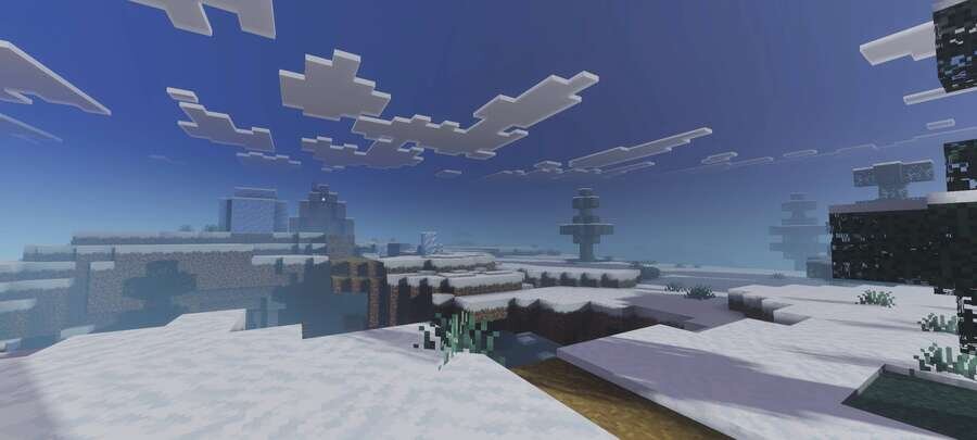 Зимний биом с деревней