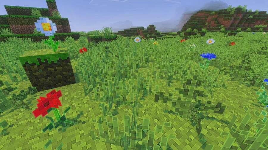 Трава на равнине