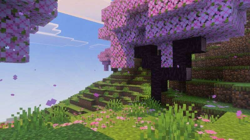 Вишневое дерево