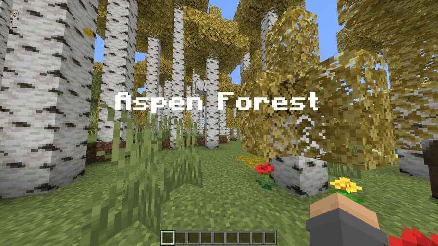 Название биома на экране