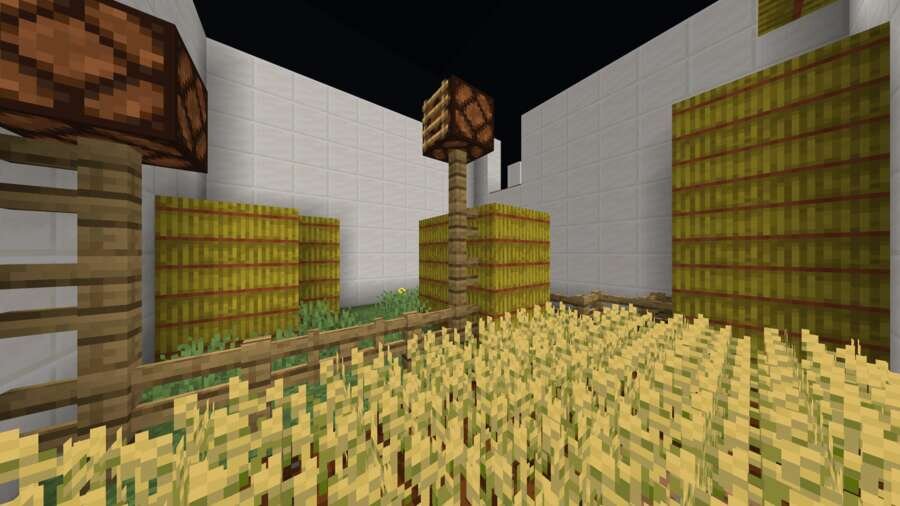 Огород внутри комнаты