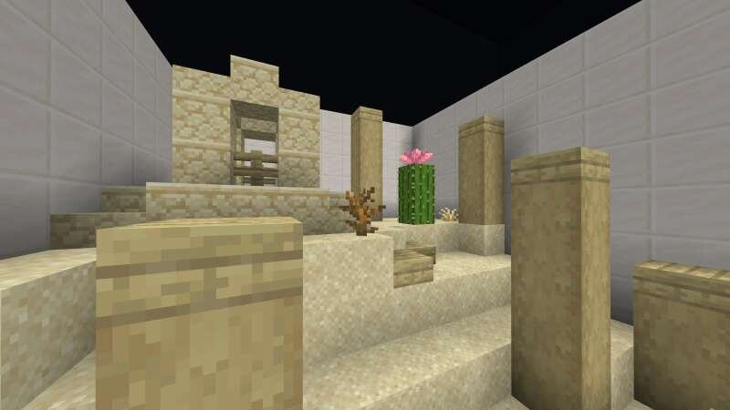 Кактус внутри комнаты