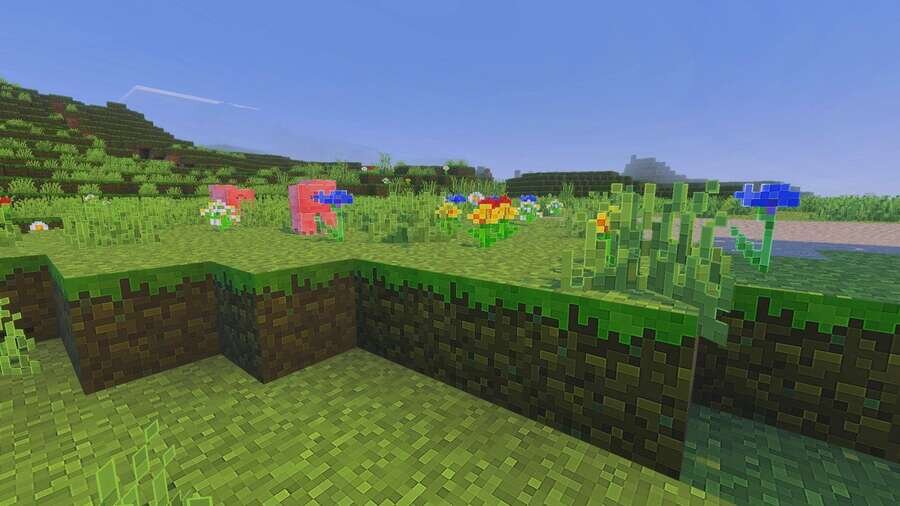 Выделенный контур блоков