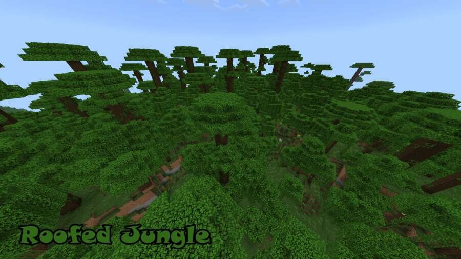 Крытые джунгли