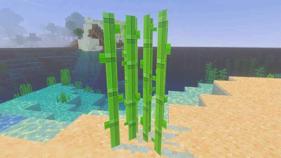 Тростник на берегу