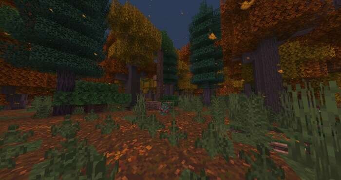 Осенний лес