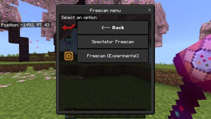 Режим наблюдателя