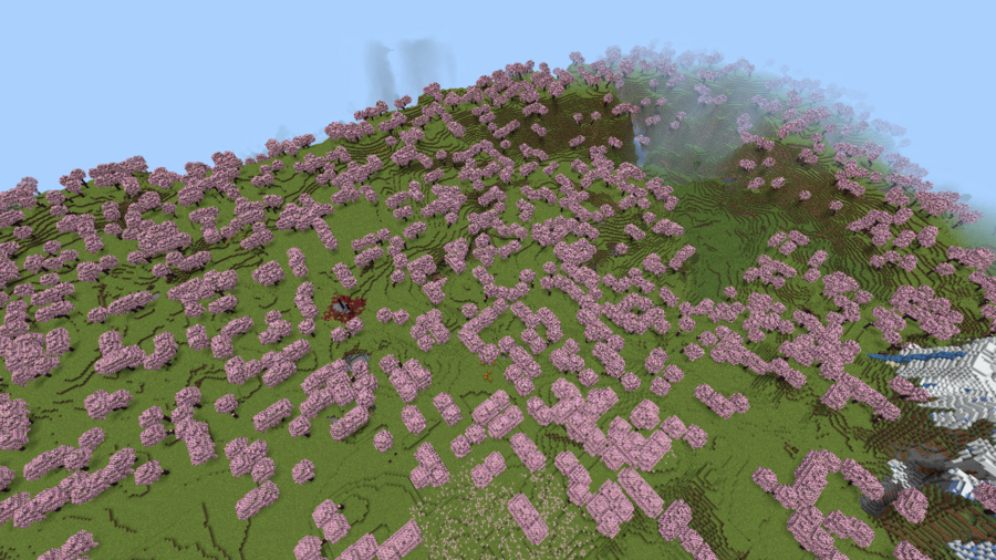 Вид на деревья сакуры сверху